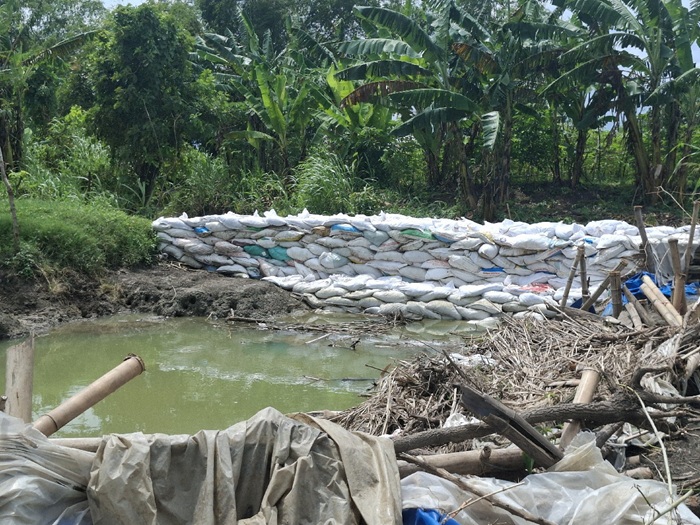 CEGAH BANJIR: Kondisi tanggul sudetan Kali Marmoyo di Desa Jatigedong, Kecamatan Ploso, Jombang yang jebol ditangani darurat, (17/1).