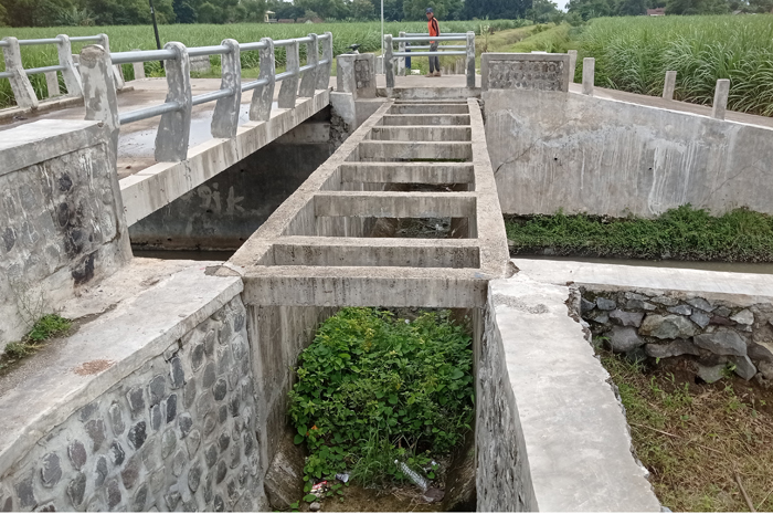 Kondisi irigasi Pariterong di Desa Ngudirejo, Kecamatan Diwek, Jombang yang mangkrak.