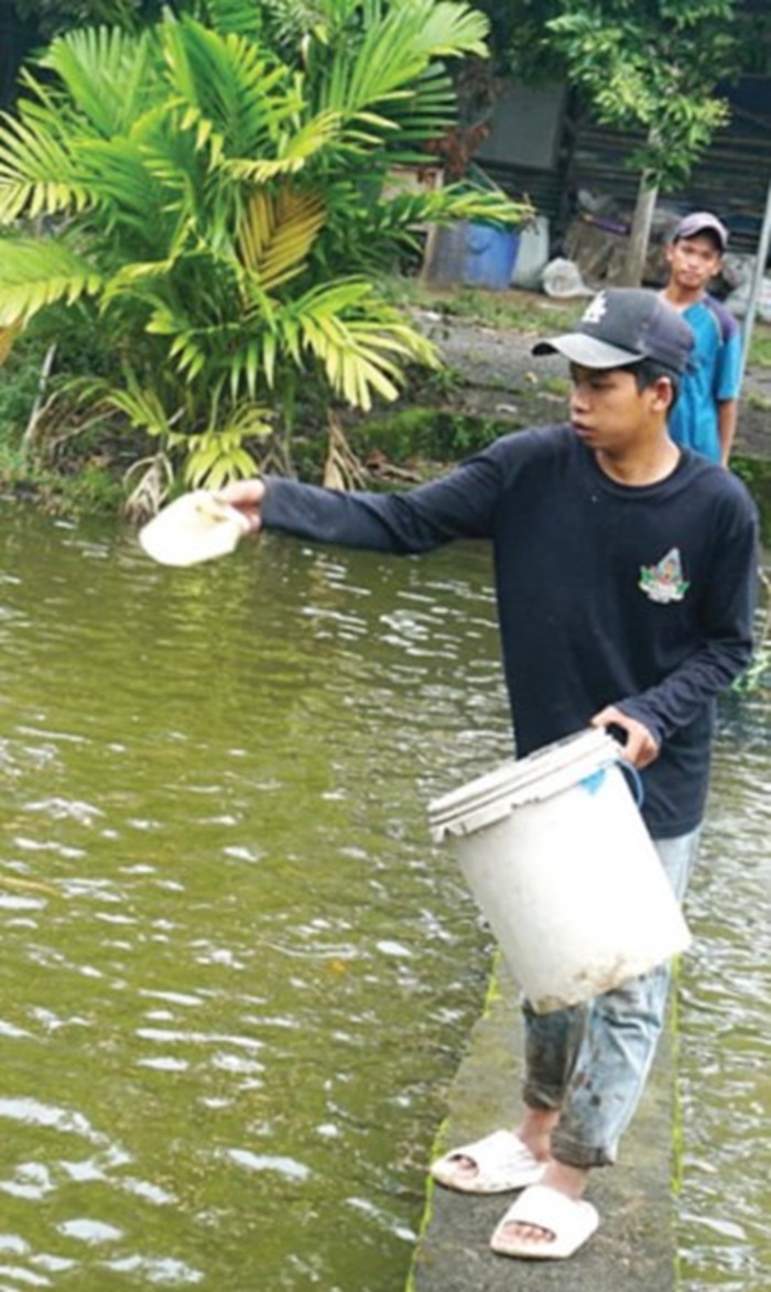 Selain mengaji, santri di Pondok Pesantren Attah Tahdzib, Kecamatan Ngoro, Jombang diajari budidaya ikan.