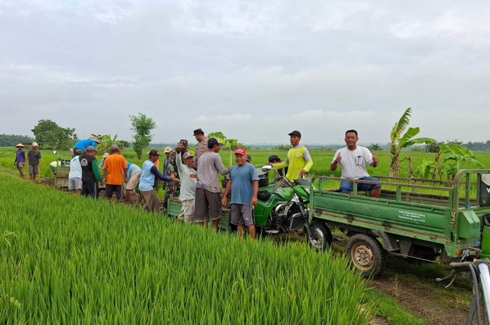KOMPAK: Kepala Desa Kebonagung Yeni Anang Setiawan bersama warga masyarakat saat menguruk JUT di Dusun Rejomulyo, Desa Kebonagung, Ploso, Jombang, Rabu (11/2) pagi.