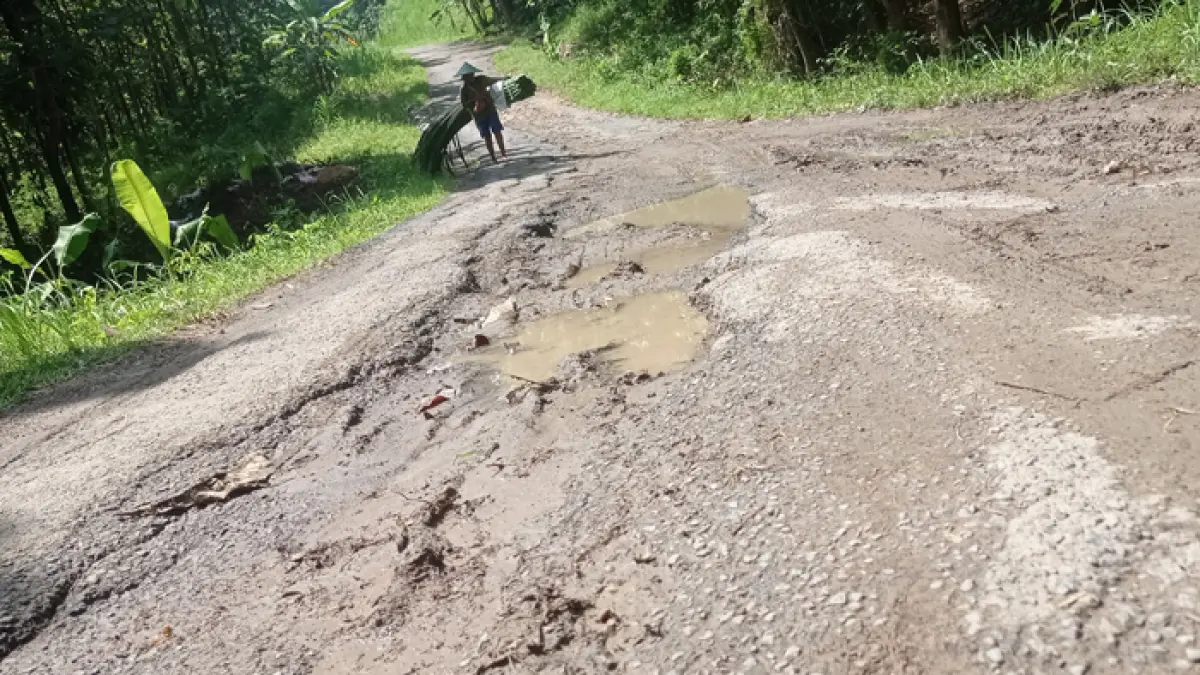 RUSAK: Kondisi jalan kabupaten ruas Made-Asemgede di Desa Asemgede, Kecamatan Ngusikan, Jombang yang rusak.