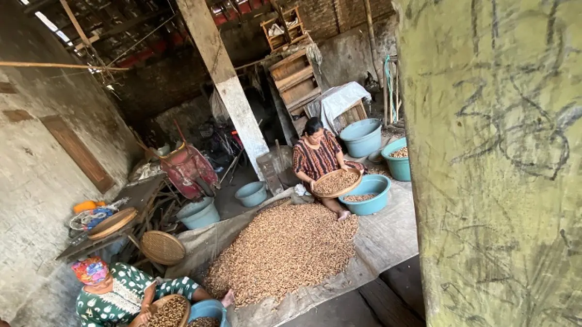 TRADISIONAL: Produksi kacang goreng di Dusun Mlaten, Desa Selorejo, Kecamatan Mojowarno, Jombang menggunakan cara tradisional. (Anggi Fridianto/Radar Jombang)