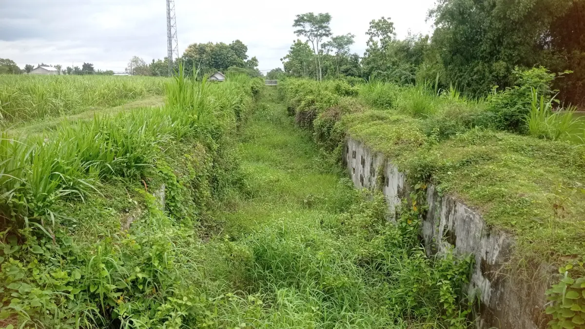 Irigasi Pariterong di Kecamatan Diwek, Jombang. (Ainul Hafidz/Radar Jombang)