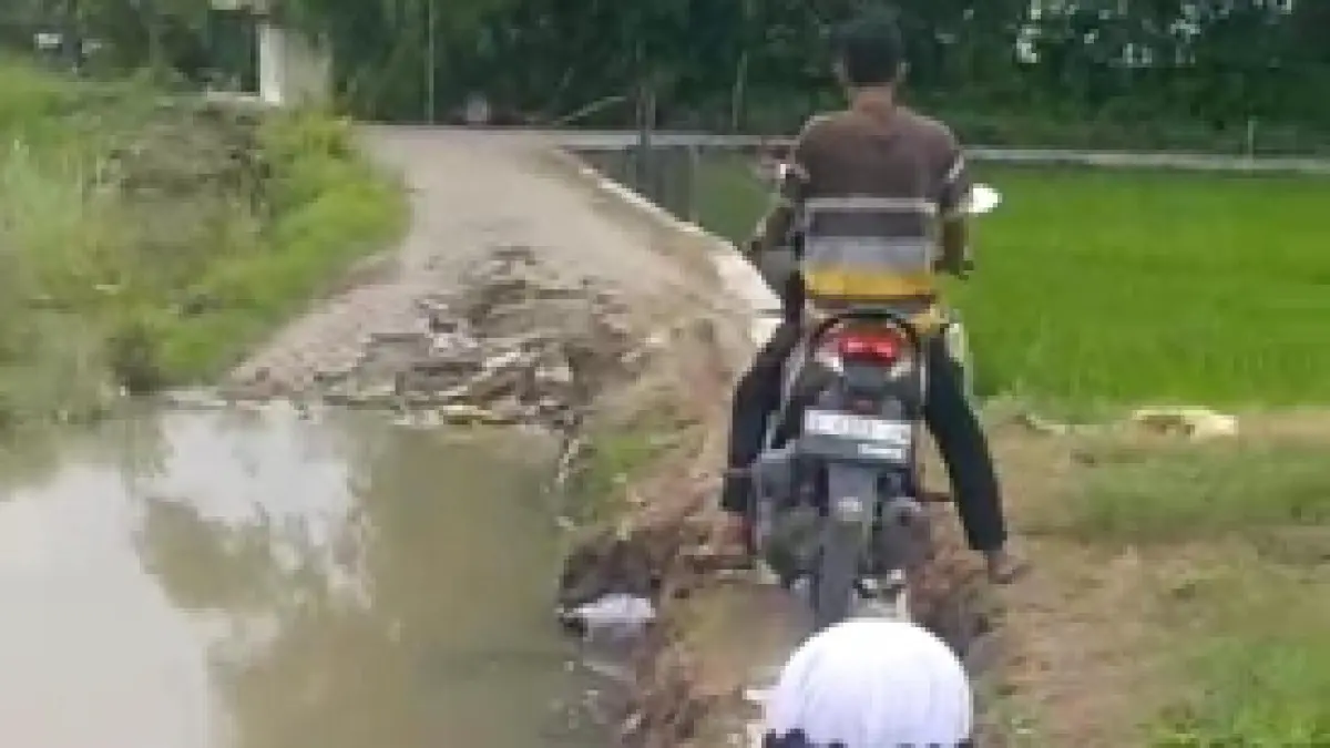 TAK BISA DILALUI: Tanggul Afvoer Watudakon di Dusun/Desa Watudakon, Kecamatan Kesamben, Jombang yang ambles. (Ainul Hafidz/Radar Jombang)