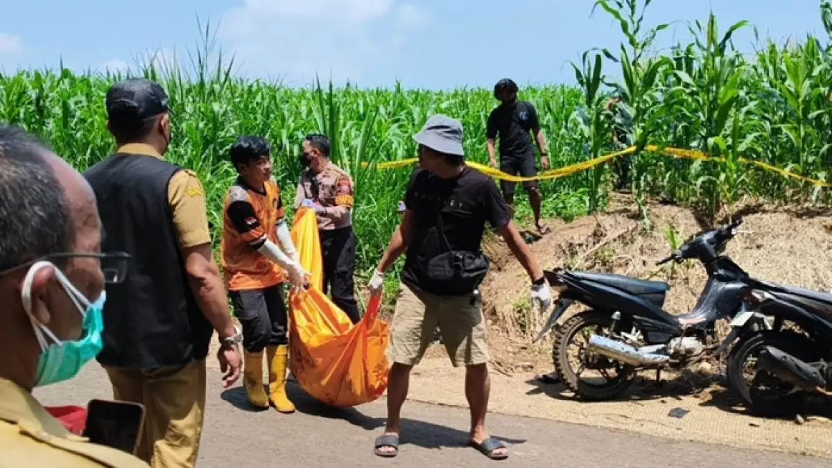 Sesosok mayat ditemukan dalam kondisi membusuk di ladang jagung di Desa Sumberjo, Wonosalam, Jombang, Senin (20/4). (Achmad RW/Radar Jombang)