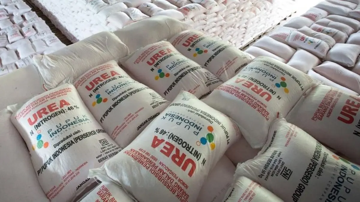 Ilustrasi pupuk urea