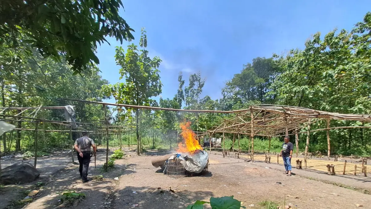 Petugas membakar arena judi sabung ayam di hutan Banjardowo Jombang