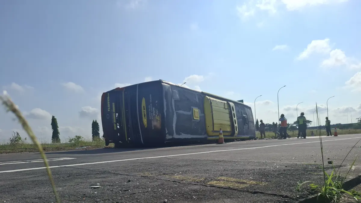 Kecelakaan tunggal melibatkan Bus Patas Sudiro Tunggal Jaya terjadi di ruas Tol Jombang-Mojokerto KM 686+700 jalur A, Kamis (21/5) pagi.&nbsp; (Achmad RW/Radar Jombang)