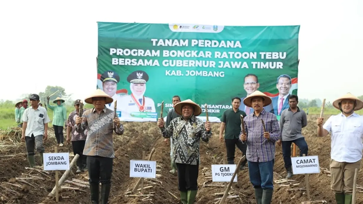KOMPAK: Dari kiri, Sekdakab Jombang Agus Purnomo, Wabup Jombang Salmanudin, GM PT SGN PG Tjoekir Abdul Azis Purmali Camat Mojowarno M Ronny Afriandie menanam tebu di Desa Catakgayam, Kecamatan Mojowarno, Sabtu (23/5).