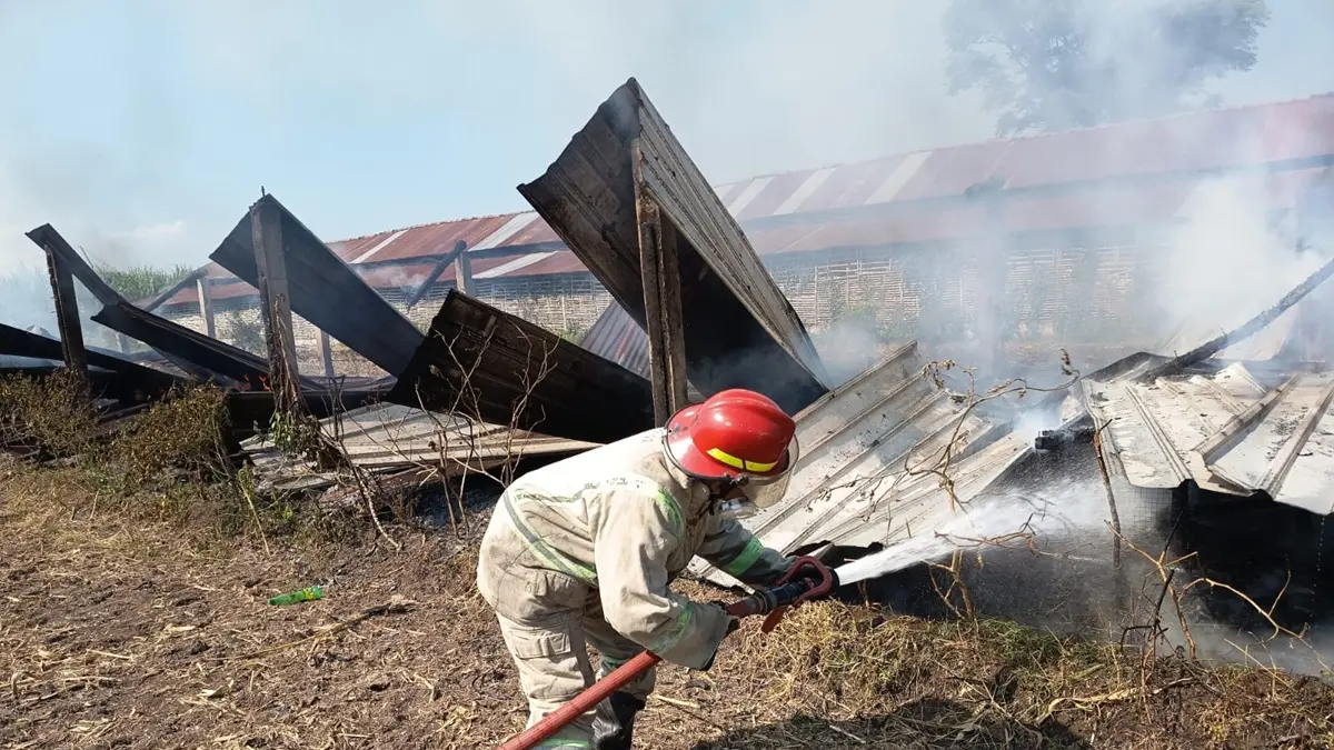 LUDES: Kandang ayam milik Muhammad Hufron di Dusun Purwodadi, Desa Grobogan, Kecamatan Mojowarno, Jombang terbakar, Rabu (27/5/) malam. (Anggi Fridianto/Radar Jombang)