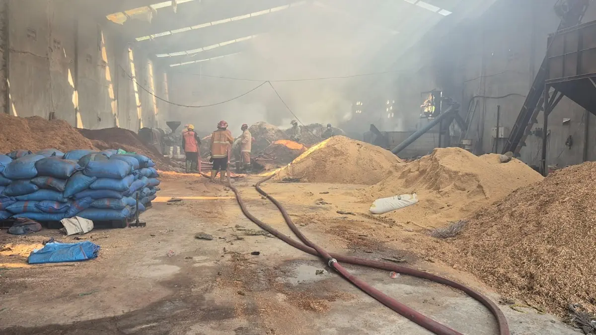 BERJIBAKU: Petugas BPBD Jombang berusaha memadamkan api yang membakar gudang penyimpanan serbuk kayu di Dusun Ngenden, Desa Rejoslamet, Kecamatan Mojowarno, Sabtu (30/5) pagi. (Achmad RW/Radar Jombang)