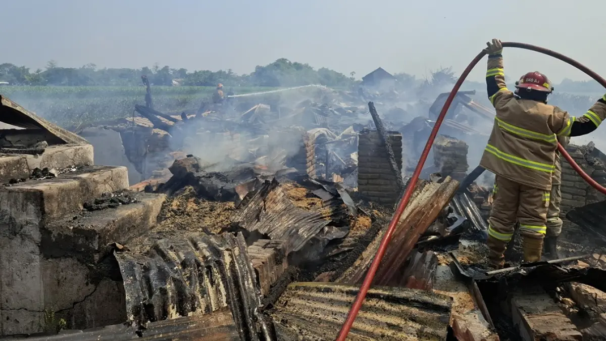 Sebuah kandang ayam di Desa Tanjunggunung, Kecamatan Peterongan, Jombang terbakar hebat Kamis (4/5) siang. (Achmad RW/Radar Jombang)