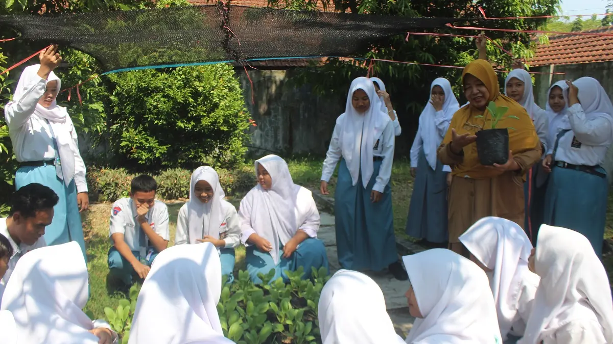 Wenny ketika mendampingi siswa SMAN 3 Jombang memanen sayur sawi pokcoy