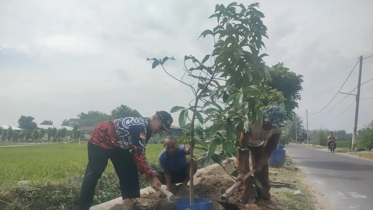 UNTUK MASA DEPAN: Kepala Desa Jombok, Ngoro, Jombang Nugroho Adi Wiyono (paling kiri) melakukan penanaman pohon buah secara swadaya di sepanjang jalan desa, Jumat (12/6).  (Dwi Aris/Radar Jombang)