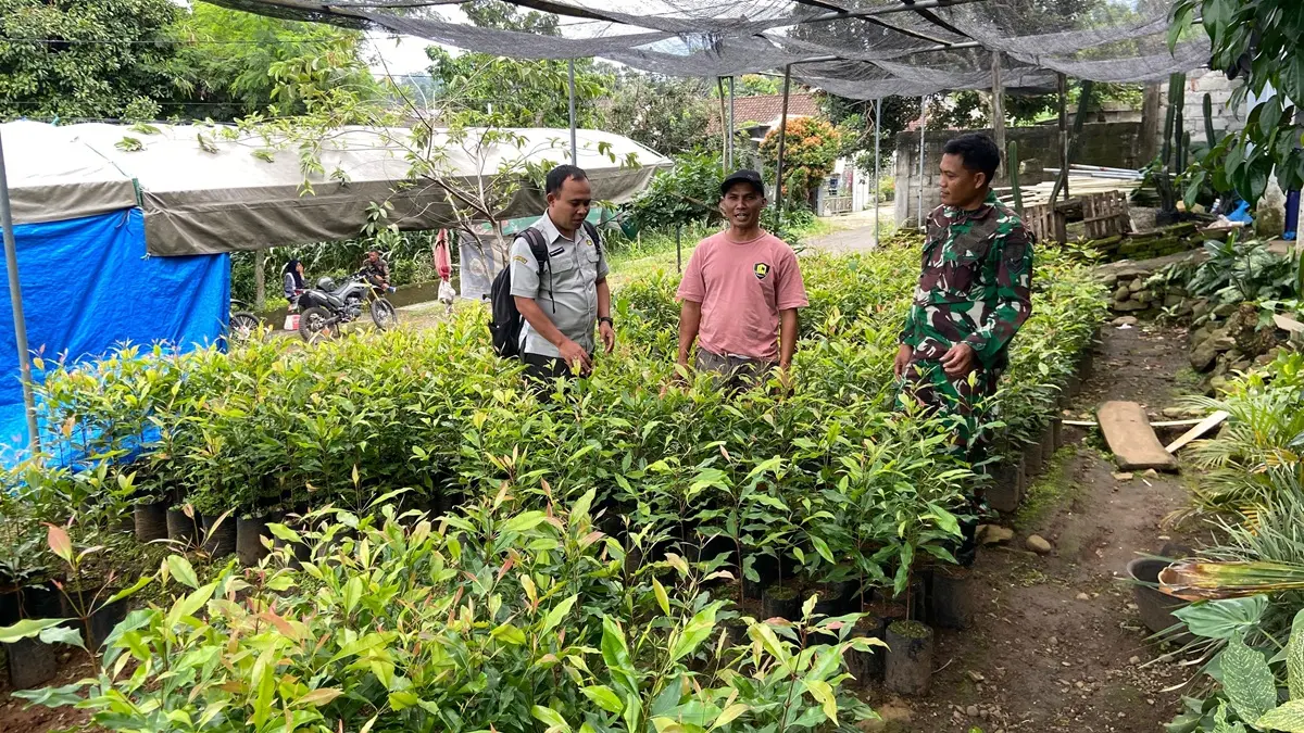 PANTAU KEBUN: Petugas saat memantau kebun cengkeh di Wonosalam, Jombang. (Anggi Fridianto/Radar Jombang)