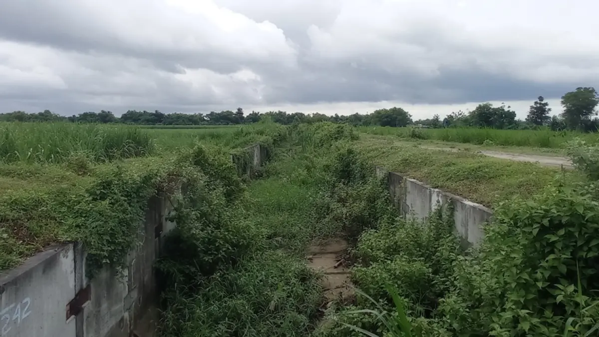 NGANGGUR: Kondisi irigasi Pariterong di Desa Pundong, Kecamatan Diwek, Jombang ditumbuhi semak belukar. (Ainul Hafidz/Radar Jombang)
