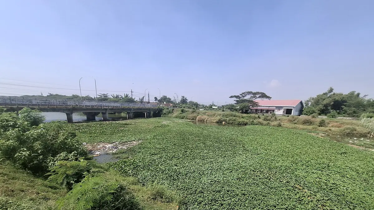 MENUMPUK: Sampah dan tanaman air menumpuk di aliran sungai Ngotok Ring Kanal Desa Madiopuro, Kecamatan Sumobito, Jombang, (18/7). (Achmad RW/Radar Jombang)