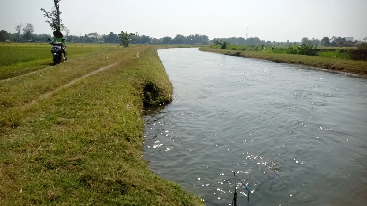 PASOKAN IRIGASI: Saluran Irigasi Mrican Kanan di Desa Sembung, Kecamatan Perak menyuplai irigasi sawah di Jombang. (Ainul Hafidz/Radar Jombang)