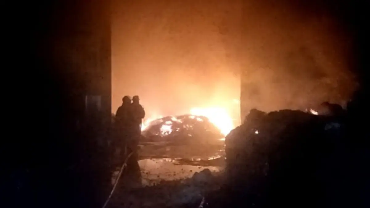 PEMADAMAN: Petugas berusaha memadamkan kebakaran di pabrik pakan ternak di Dusun Guwo, Desa Latsari, Kecamatan Mojowarno, Jombang, Jumat (24/7) malam. (Achmad RW/Radar Jombang)