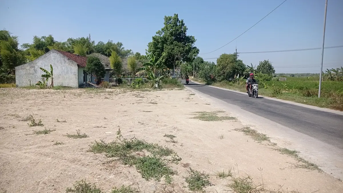TUNGGU KEPASTIAN: Lahan di Desa Sumberjo, Kecamatan Jombang baru selesai diuruk untuk pembangunan gerai KDKMP. (Ainul Hafidz/Radar Jombang)