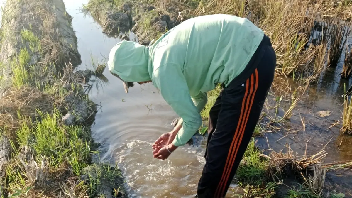 Sejumlah petani di Desa Betek, Kecamatan Mojoagung, Jombang, resah dengan kondisi saluran irigasi yang diduga tercemar limbah industri.