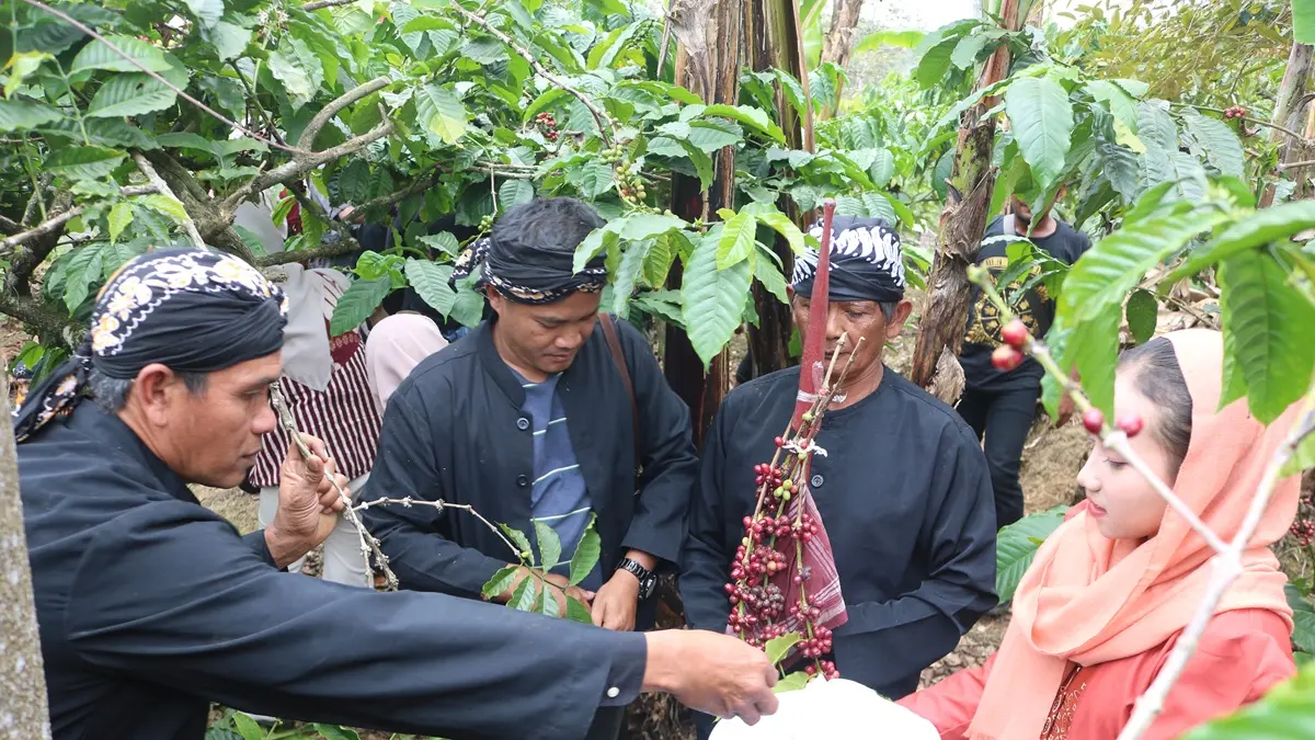 MERAWAT TRADISI: Warga kampung adat Segunung Desa Carangwulung, Kecamatan Wonosalam, Jombang mengikuti tradisi wiwit kopi, Sabtu-Minggu (8-9/8). (Anggi Fridianto/Radar Jombang)