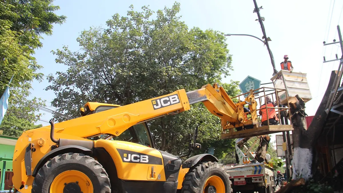 DIKEBUT: Petugas Pemprov Jatim memangkas pohon di kawasan Jalan KH Wahab Chasbullah, Tambakberas, Jombang, (13/8). (Anggi Fridianto/Radar Jombang)