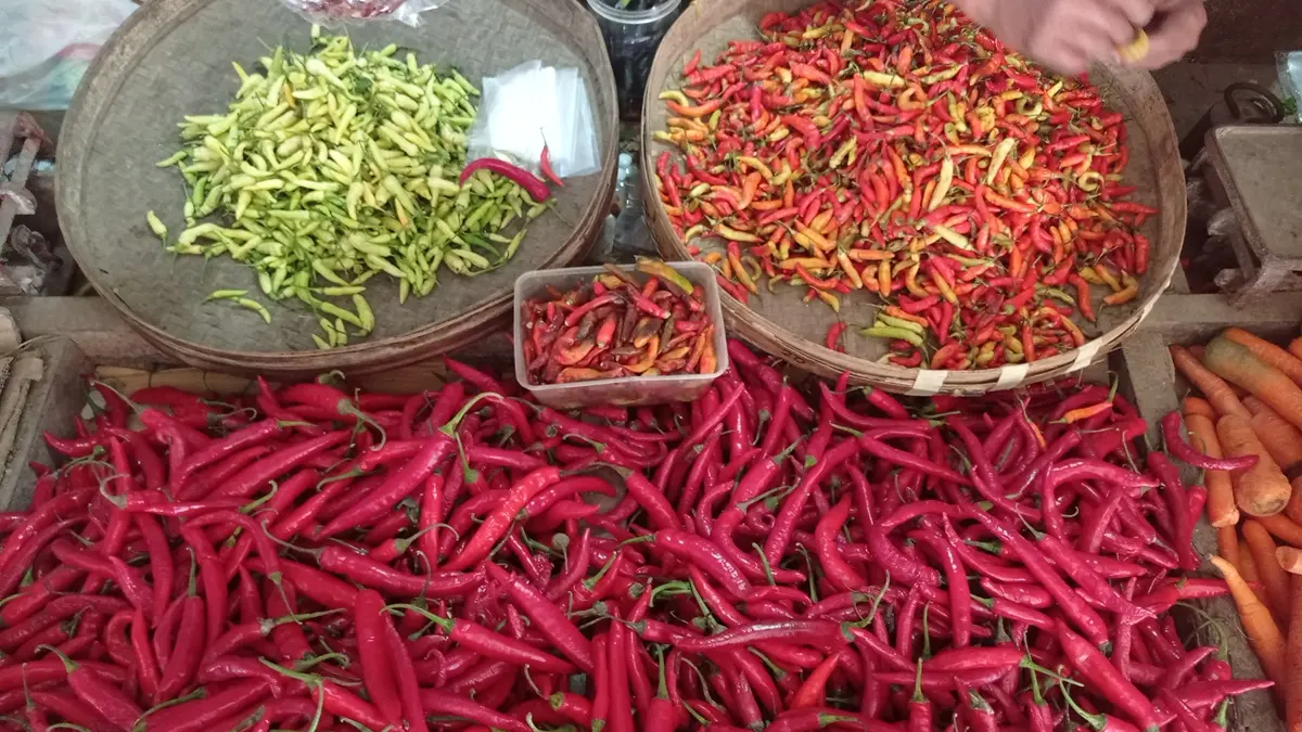 DIPILAH: Hari, pedagang sayur di Pasar Pon, Jombang memilah cabai yang dijual. (Ainul Hafidz/Radar Jombang)