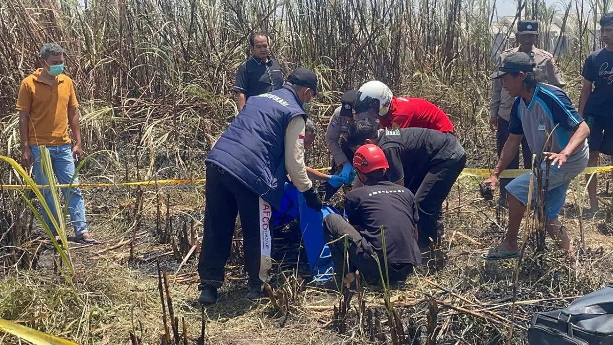 DIEVAKUASI: Petugas mengevakuasi jasad korban di lahan pertanian Dusun Ketanon, Desa/Kecamatan Diwek, Jombang, Sabtu (12/9). (Achmad RW/Radar Jombang)