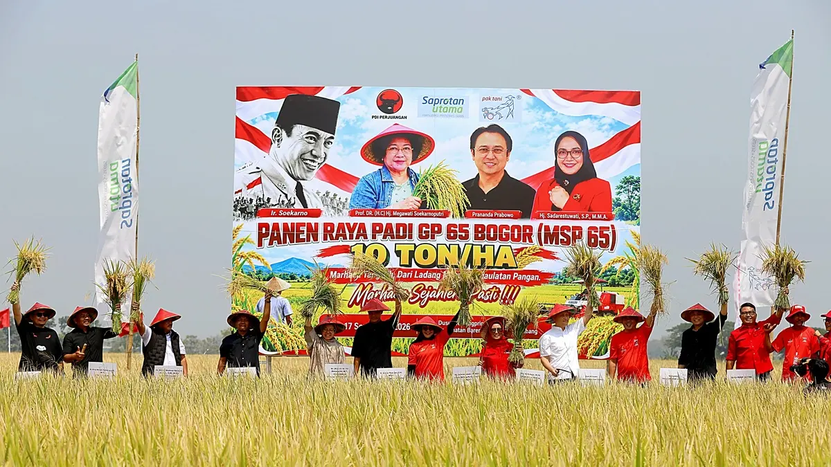 UNGGUL: Ketua DPP PDIP Bidang Pemerintahan dan Otonomi Daerah Ganjar Pranowo, Ketua DPP PDIP Bidang Penanggulangan Bencana Tri Rismaharini, Ketua DPP PDI Perjuangan Bidang Pertanian dan Pangan Sadarestuwati,  saat panen raya padi MSP 65 di Dusun Kedungpring, Desa/Kecamatan Bareng. Jombang, Kamis (17/9) pagi. (Anggi Fridianto/Radar Jombang)