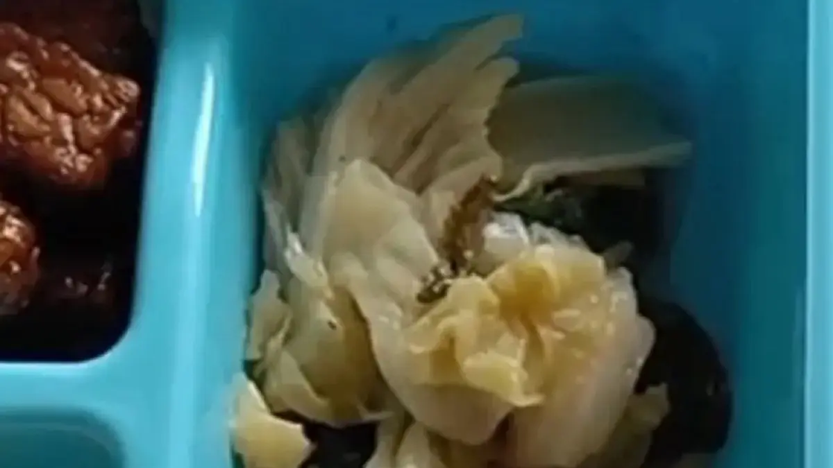 Ulat ditemukan pada menu oseng sawi pakcoy dan kubis dalam paket MBG yang diterima ibu menyusui di Desa Gondek, Mojowarno, Jombang, Kamis (24/9). (IST)