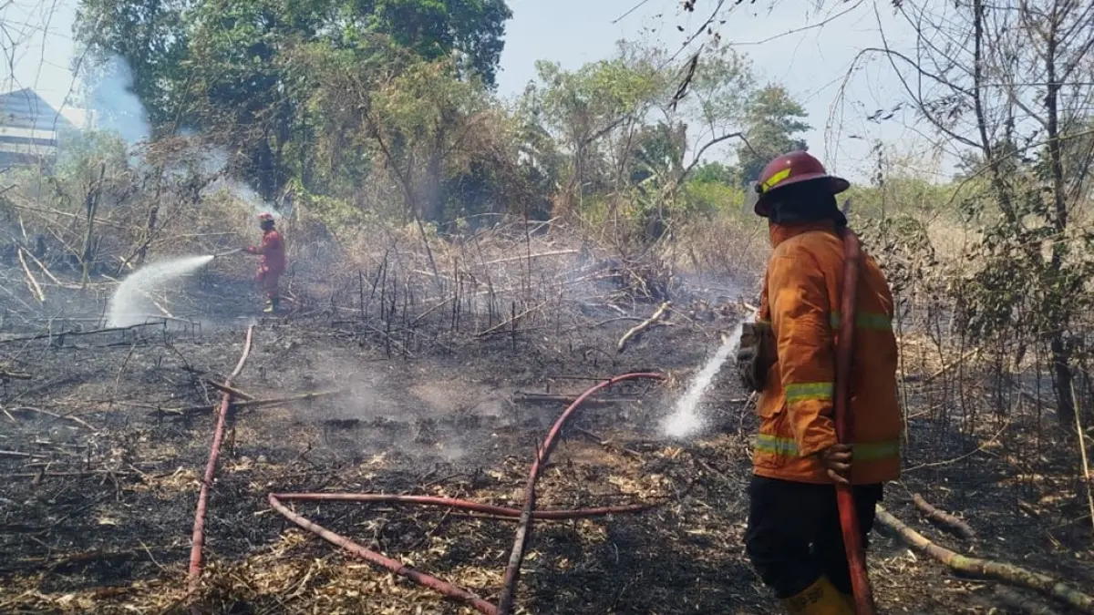 BERJIBAKU: Petugas memadamkan api yang membakar lahan di Desa Jabon, Kecamatan Jombang, Jumat (25/9) lalu. (Anggi Fridianto/Radar Jombang)