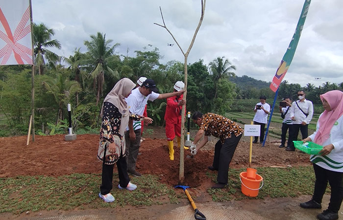 PENGHIJAUAN: Kepala BBWSSO Gatut Bayu Aji bersama Asisten Pemerintahan dan Kesejahteraan Rakyat Setda Purworejo Bambang Susilo dan Camat Bener Vivin Suryandari Feriyani melakukan penanaman tabebuya