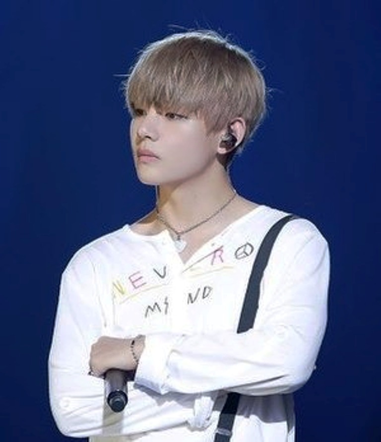 Kim Taehyung alias V BTS. (WIKIPEDIA)