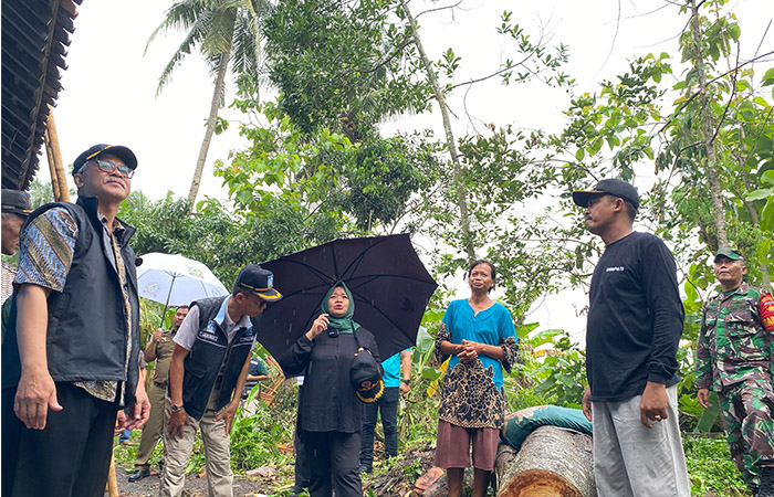 TURUN LAPANGAN: Bupati Sleman Kustini Sri Purnomo saat meninjau lokasi terdampak bencana angin kencang di kapanewon Minggir kemarin (7/1).
