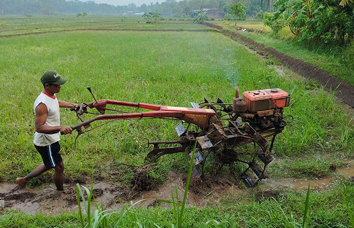 DIBAJAK: Hujan mulai merata di wilayah Kabupaten Purworejo, seorang petani di Kecamatan Purworejo tengah membajak sawah, pada Senin (8/1).&nbsp;