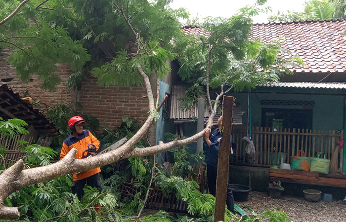 GERAK CEPAT: Petugas BPBD Kebumen bersama warga kerja bakti membersihkan puing rumah yang tertimpa pohon akibat angin kencang.Dokumentasi BPBD Kebumen