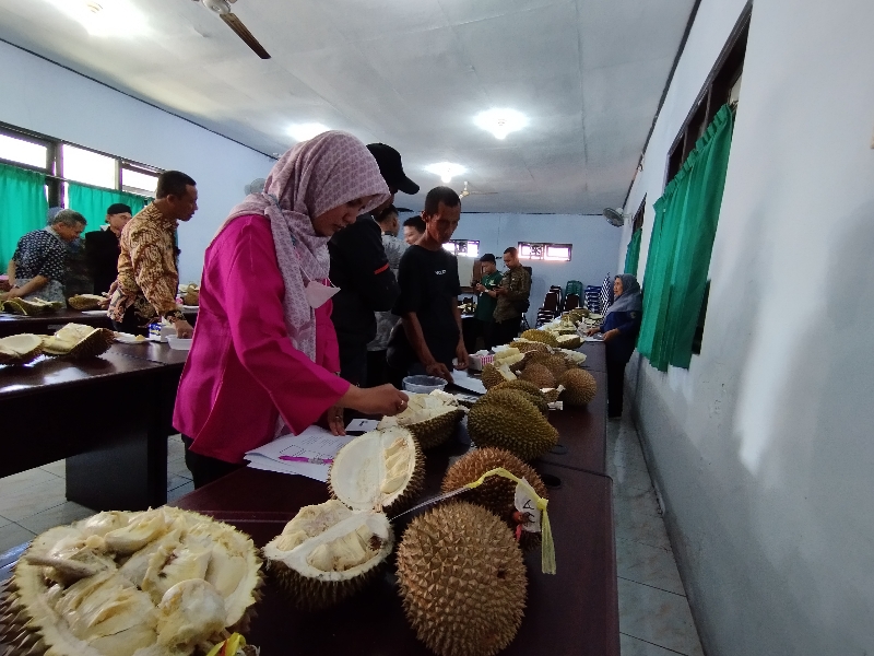 PASTI: Proses penilaian durian lokal dalam festival lomba durian unggul Kabupaten Purworejo di aula DKPP Purworejo pada Kamis (25/1).