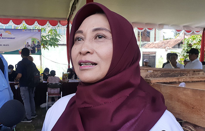 Kepala Disperindag Sleman Mae Rusmi Suryaningsih.