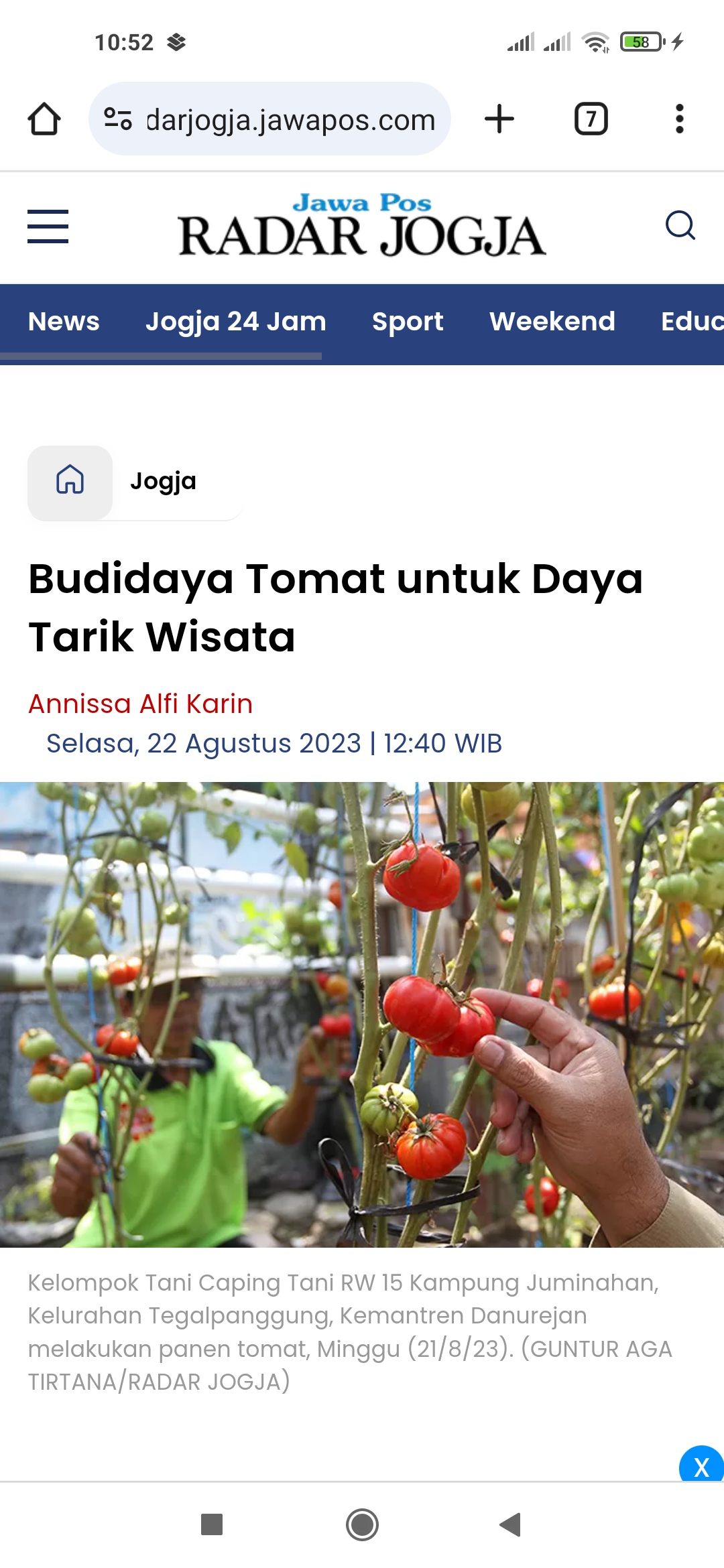 MANFAAT: Tomat memiliki banyak manfaat.