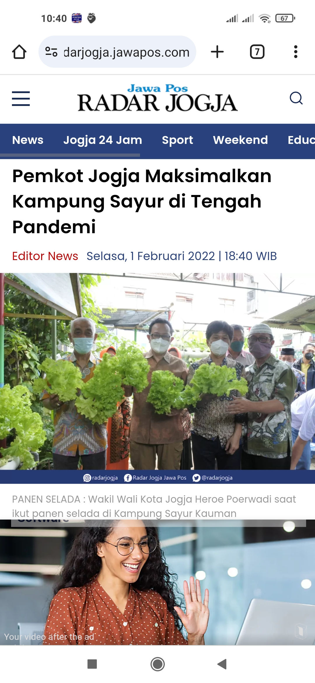 Ilustrasi selada yang baru dipanen.