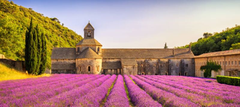 The Land of Lavender Provence berada di bagian Selatan Prancis memiliki daya tarik tersendiri bagi wisatawan.
