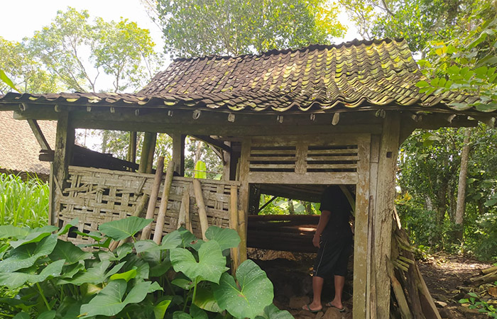 KOSONG: Kandang milik Asmuni kini kosong karena sapinya dicuri pada Minggu (14/4).