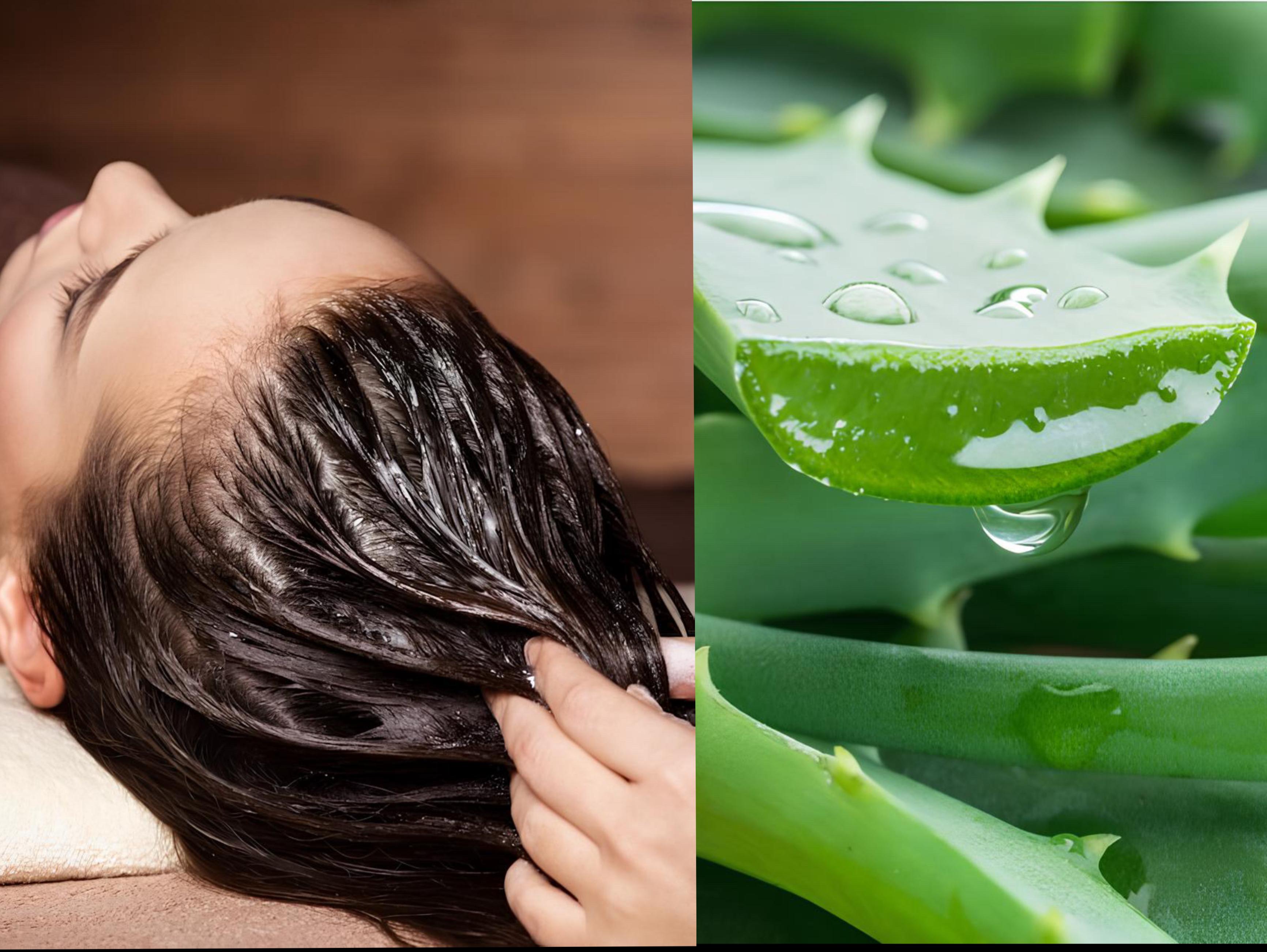 Manfaat lidah buaya untuk rambut beruban