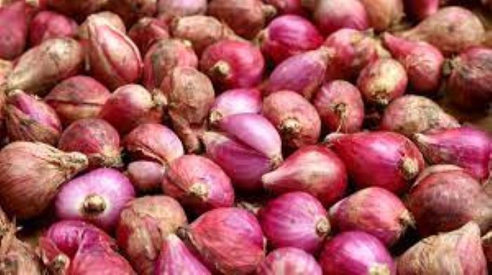 manfaat bawang merah bagi kesehatan