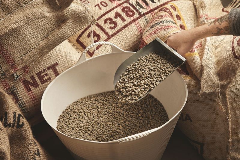 Biji kopi hijau.