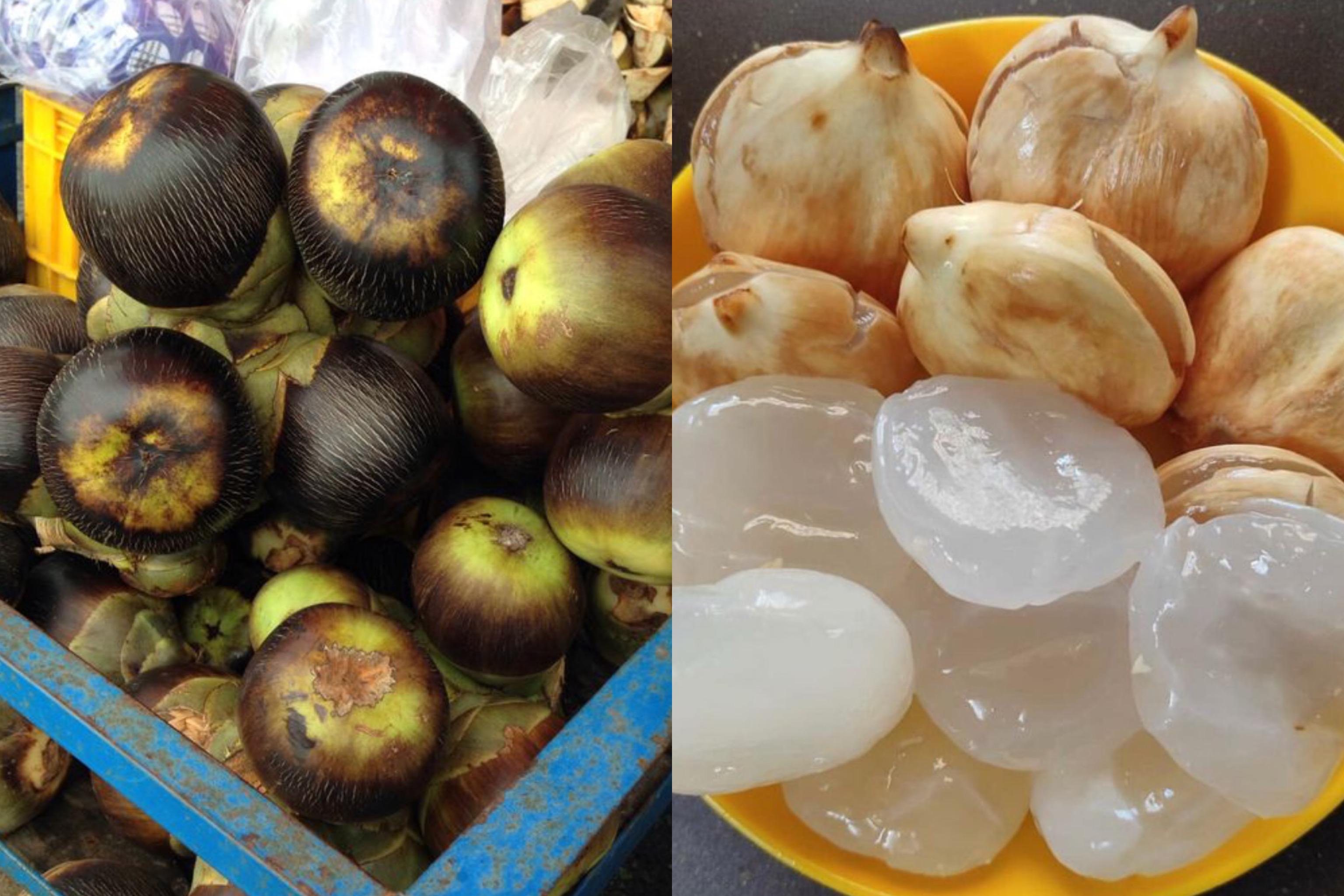 Buah lontar atau siwalan
