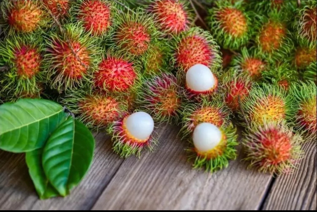 Buah rambutan yang kaya akan manfaat dan khasiat yang jarang diketahu