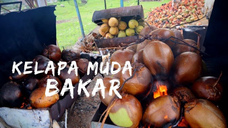 Kelapa bakar memiliki banyak manfaat untuk kesehatan tubuh.