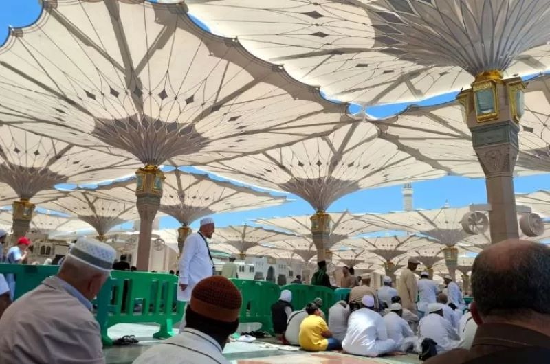 Ilustrasi Jamaah melaksanakan ibadah di Masjid Nabawi.